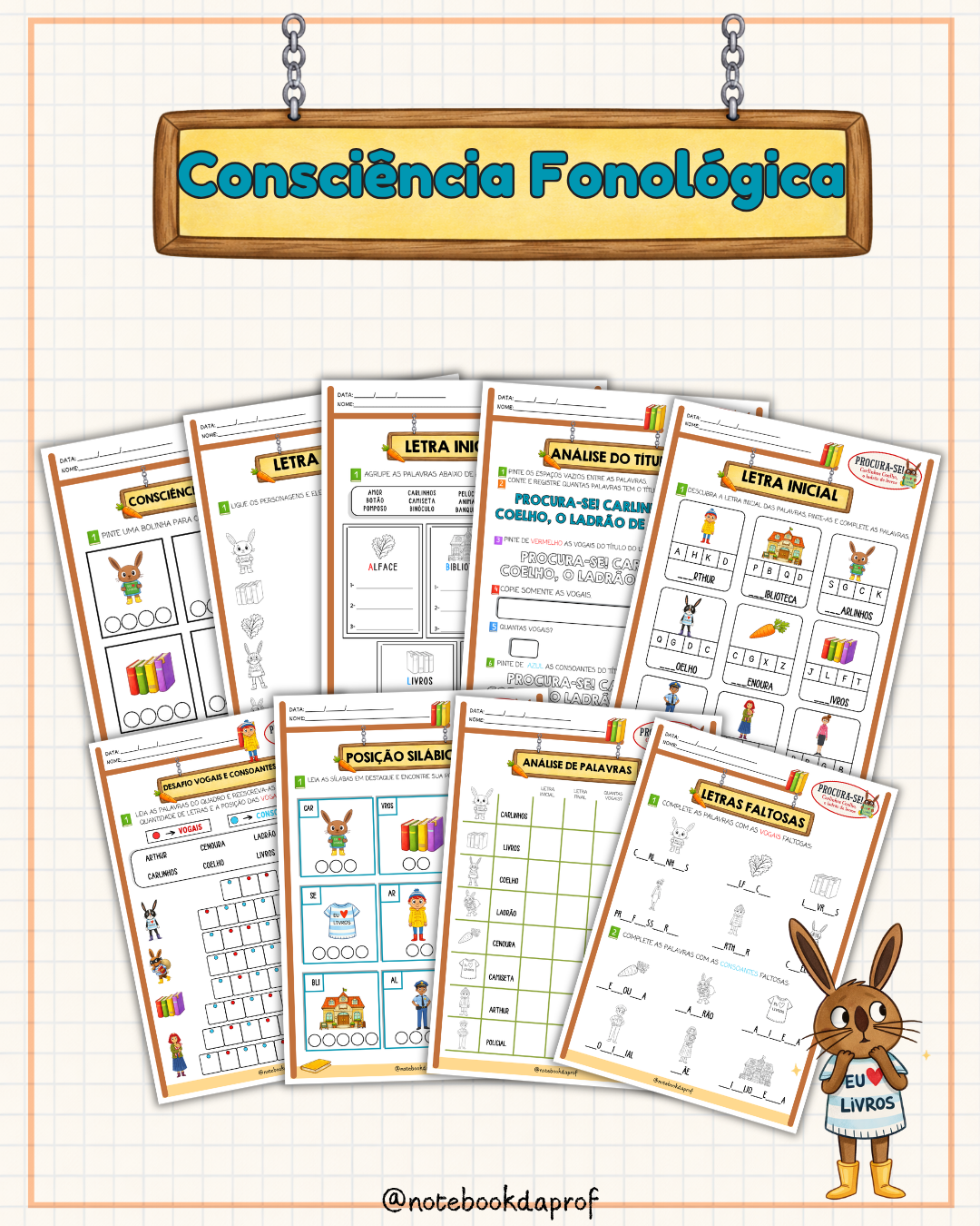 SD- Carlinhos Coelho, o Ladrão de Livros - Emily Makenzie - Imagem 2